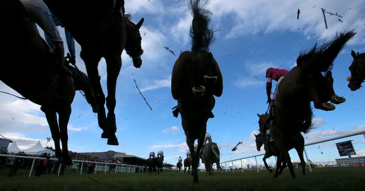 Punchestown Festival Tips: Best Bets For Day Two Punchestown Festival Tips: Best Bets For Day Two