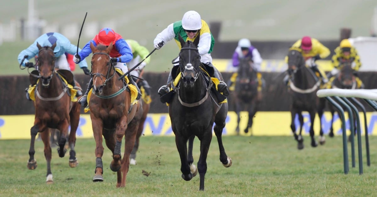 Cheltenham 2025: Ryanair Chase Trends You Should Not Ignore Cheltenham 2025: Ryanair Chase Trends You Should Not Ignore
