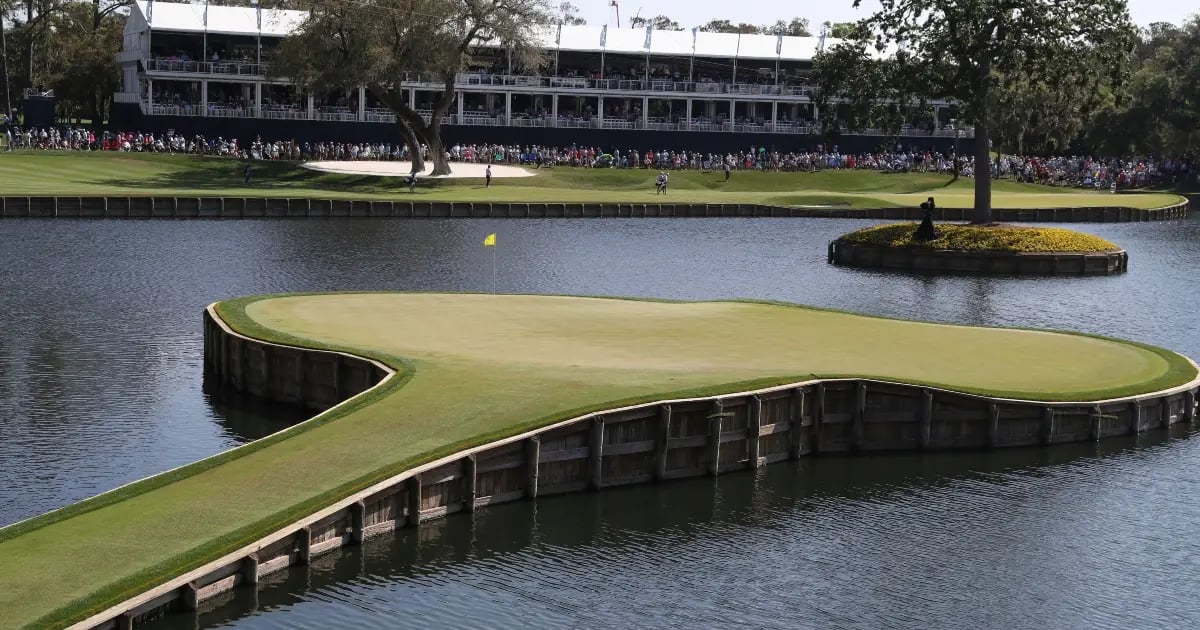 The Players Championship Odds: McIlroy & Scheffler's Past Sawgrass Performances The Players Championship Odds: McIlroy & Scheffler's Past Sawgrass Performances