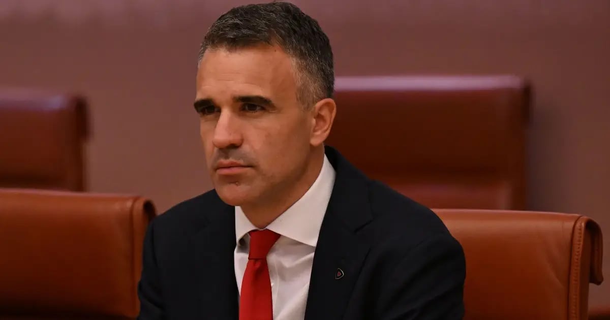 South Australia Election Odds: Landslide Predicted For Labor's Malinauskas South Australia Election Odds: Landslide Predicted For Labor's Malinauskas