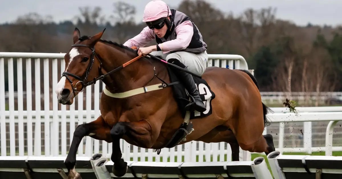 Horse Racing Tips: Tanya Stevenson's Selections For Saturday Horse Racing Tips: Tanya Stevenson's Selections For Saturday