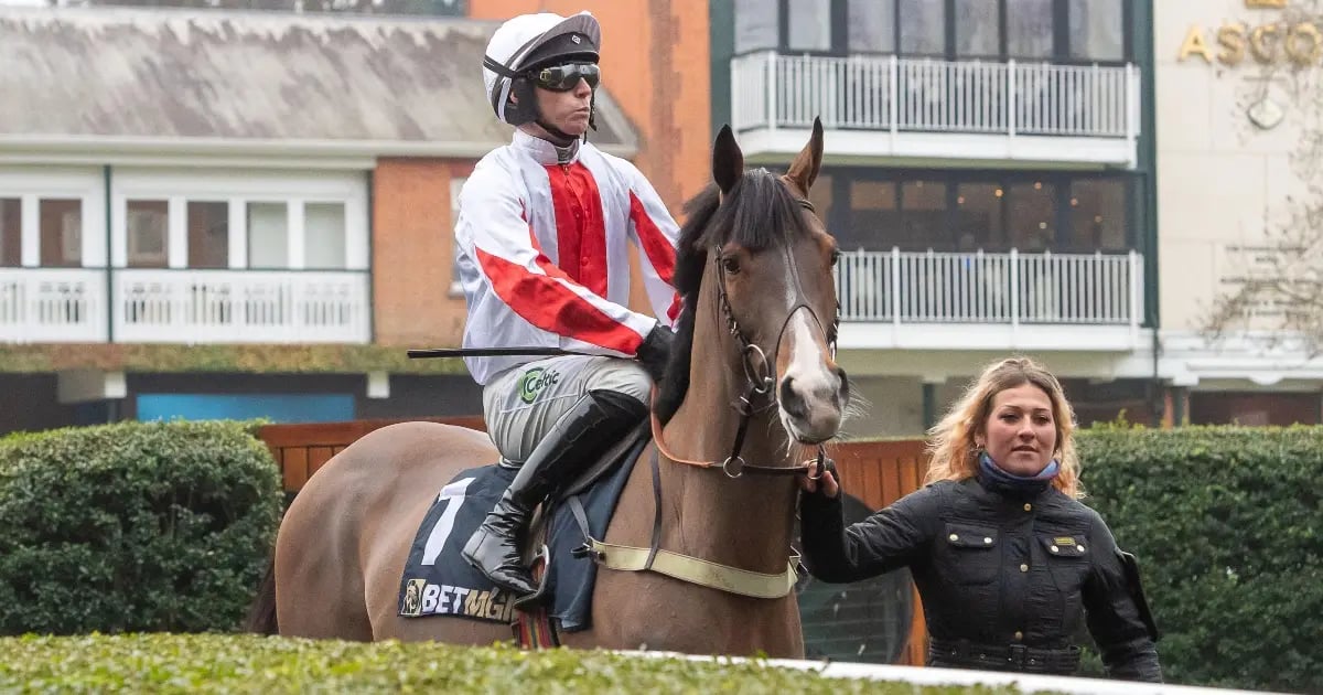Horse Racing Tips: Tanya Stevenson's Selections For Saturday Horse Racing Tips: Tanya Stevenson's Selections For Saturday
