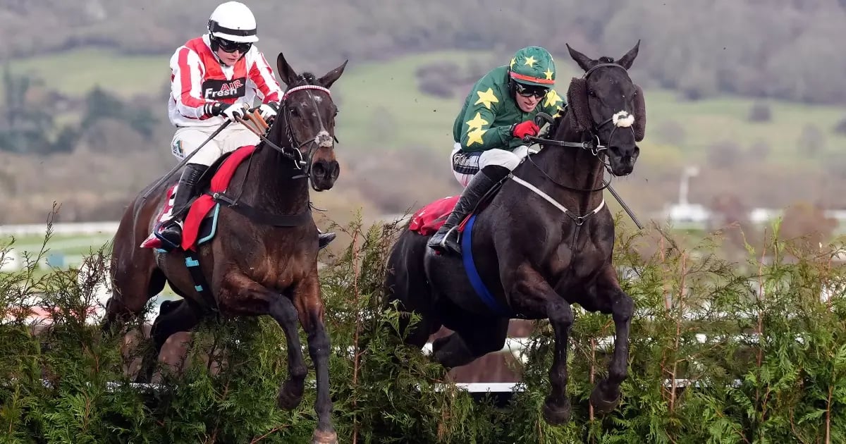Aintree Festival 2025: Tanya Stevenson's Selections For The Grand National Aintree Festival 2025: Tanya Stevenson's Selections For The Grand National