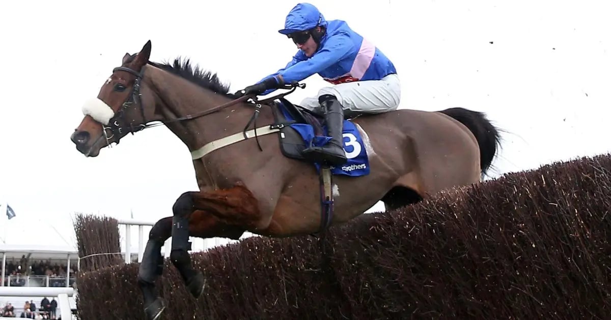 Horse Racing Tips: Tanya Stevenson's Selections For The Cheltenham Festival Horse Racing Tips: Tanya Stevenson's Selections For The Cheltenham Festival