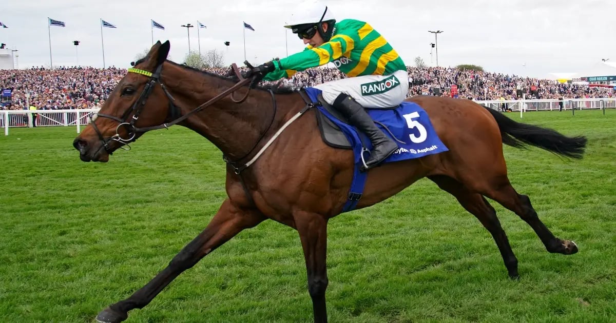 Cheltenham Festival 2025: Tanya Stevenson's Selections For Day 4 Cheltenham Festival 2025: Tanya Stevenson's Selections For Day 4