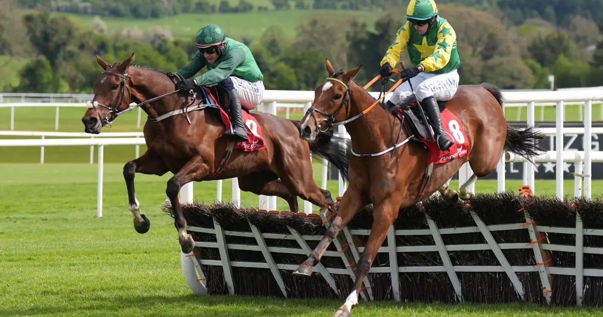 Cheltenham Festival 2025: Tanya Stevenson's Selections For Day 2 Cheltenham Festival 2025: Tanya Stevenson's Selections For Day 2