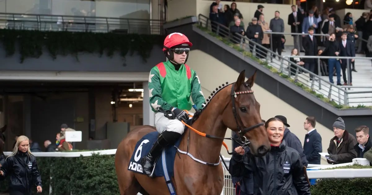 Horse Racing Tips: Tanya Stevenson's Selections For The Weekend Horse Racing Tips: Tanya Stevenson's Selections For The Weekend