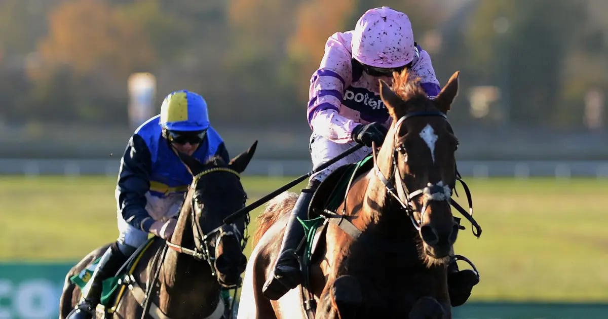 Horse Racing Tips: Tanya Stevenson's 3 Bets For Saturday Horse Racing Tips: Tanya Stevenson's 3 Bets For Saturday
