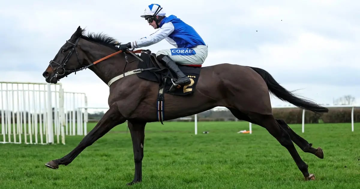 Cheltenham Festival 2025: Tanya Stevenson's Selections For Day 3 Cheltenham Festival 2025: Tanya Stevenson's Selections For Day 3