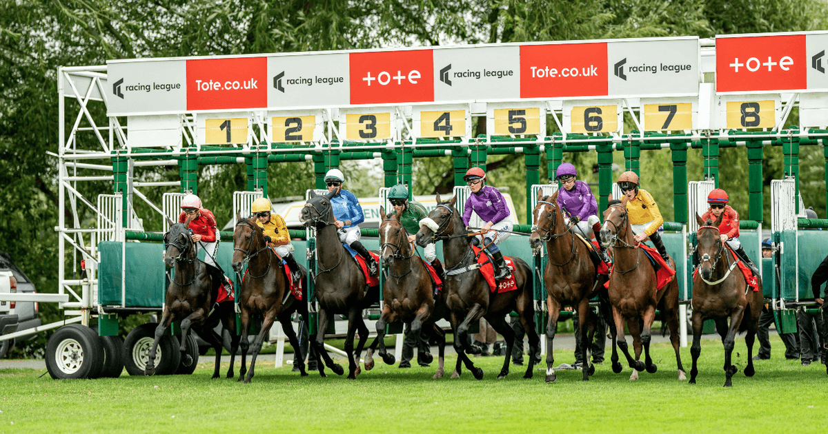 Tote vs Fixed Odds: How Pool Betting Actually Compares Tote vs Fixed Odds: How Pool Betting Actually Compares