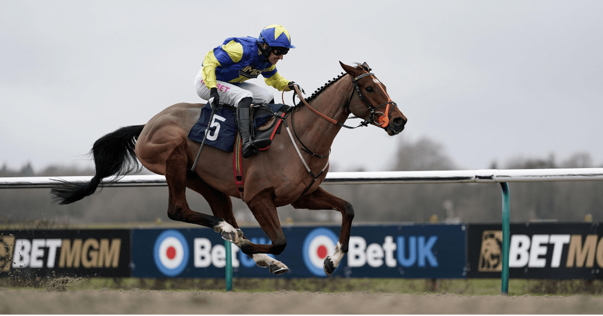 Cheltenham Festival 2025: Tanya Stevenson's Selections For Day 1 Cheltenham Festival 2025: Tanya Stevenson's Selections For Day 1