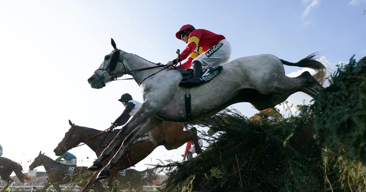 Cheltenham Festival Losers That Can Make Amends At Aintree Cheltenham Festival Losers That Can Make Amends At Aintree
