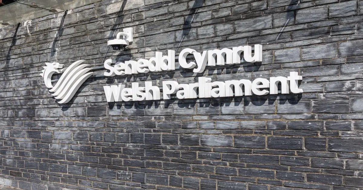Welsh Senedd Election Odds: Has Reform's Bubble Burst? Welsh Senedd Election Odds: Has Reform's Bubble Burst?