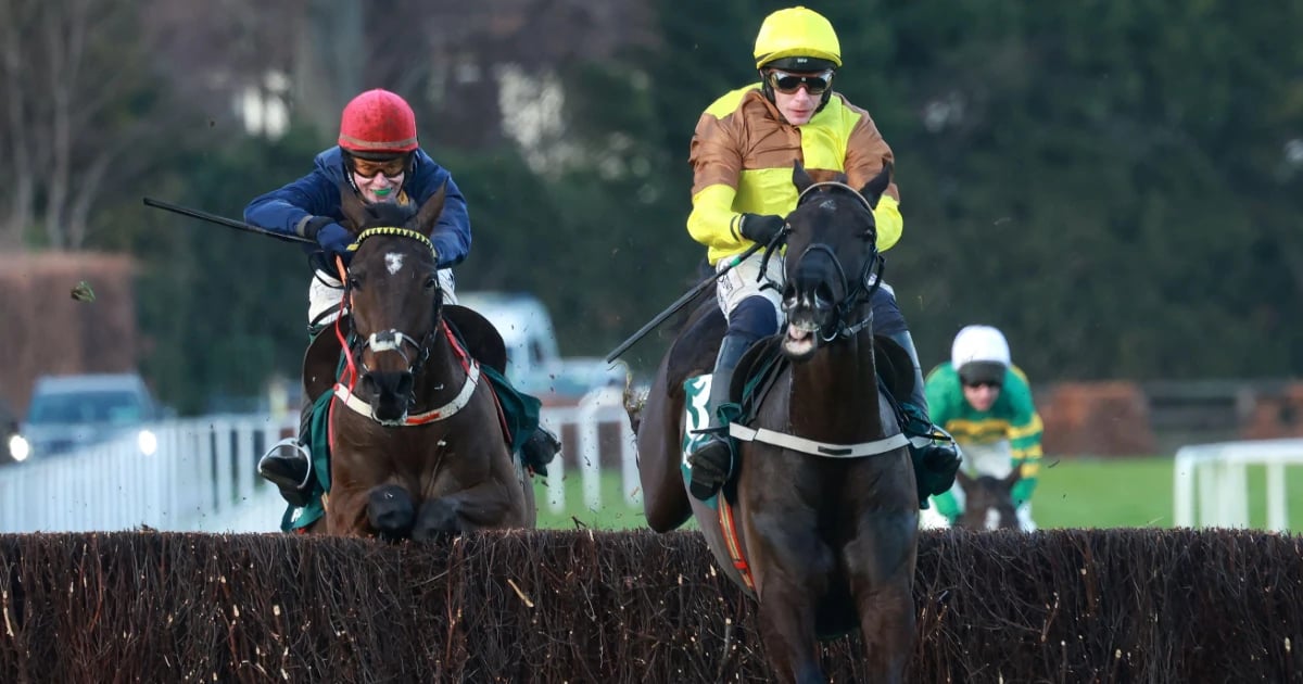 Irish Gold Cup: Where To Watch Horse Racing Irish Gold Cup: Where To Watch Horse Racing