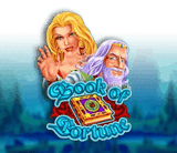 Beste Amatic Online Casinos &amp; Spielotheken - Book of Fortune