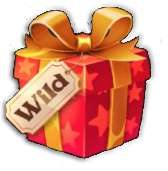 Pacco Regalo Wild