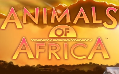 Animals of Africa