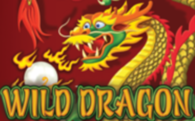 Wild Dragon