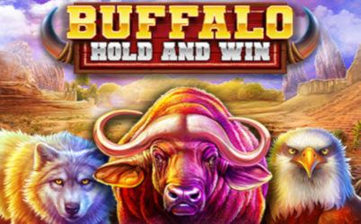 Buffalo Hold and Win