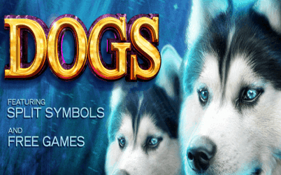 Dogs