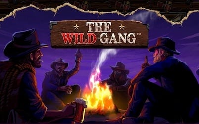 The Wild Gang