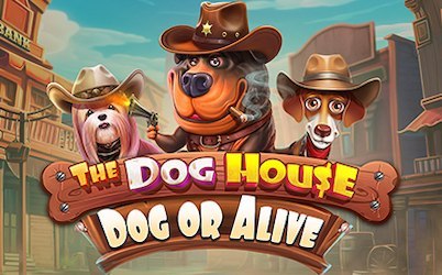 The Dog House - Dog or Alive