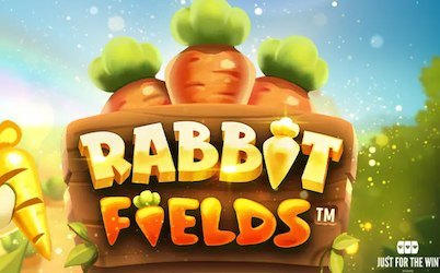 Rabbit Fields
