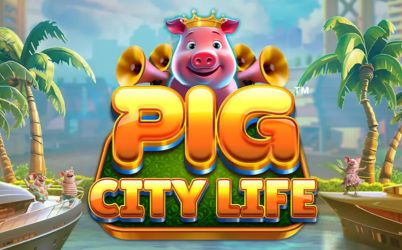 Pig City Life