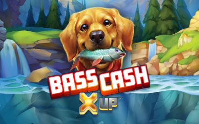 Bass Cash X UP