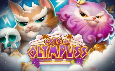 Cats of Olympuss