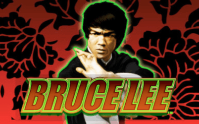Bruce Lee: Fire of the Dragon 