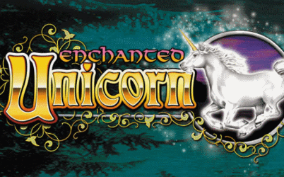 Enchanted Unicorn