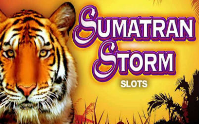 Sumatran Storm