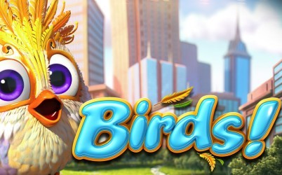 Birds!