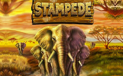 Stampede
