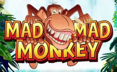 Mad Mad Monkey