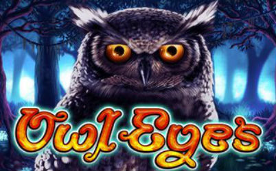 Owl Eyes