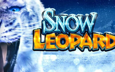 Snow Leopard