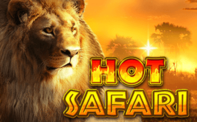 Hot Safari