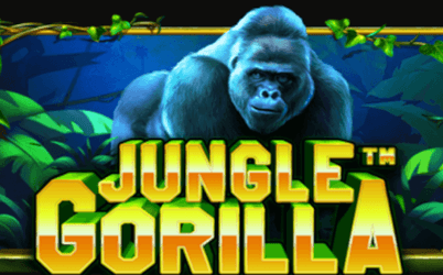 Jungle Gorilla