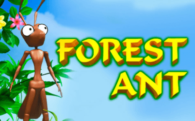 Forest Ant