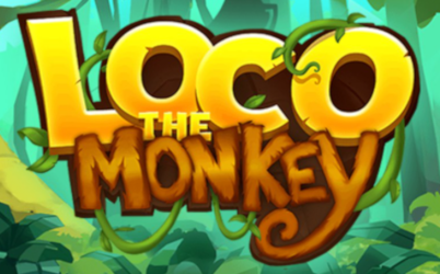 Loco The Monkey