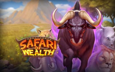 Safari of Wealth
