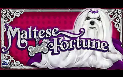 Maltese Fortune