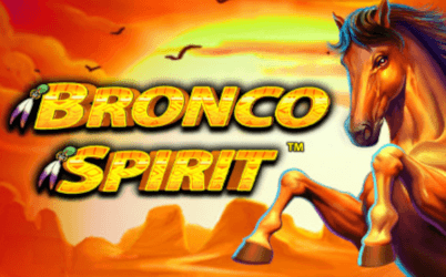 Bronco Spirit