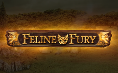 Feline Fury