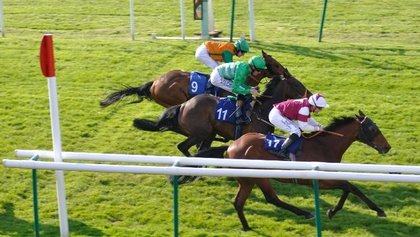 Tricast and Forecast Bets: Racing Betting Strategy