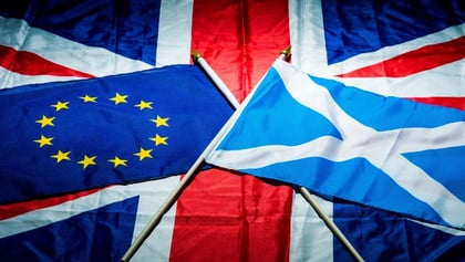 Scottish Independence Referendum Betting Preview