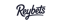 reybets Betting