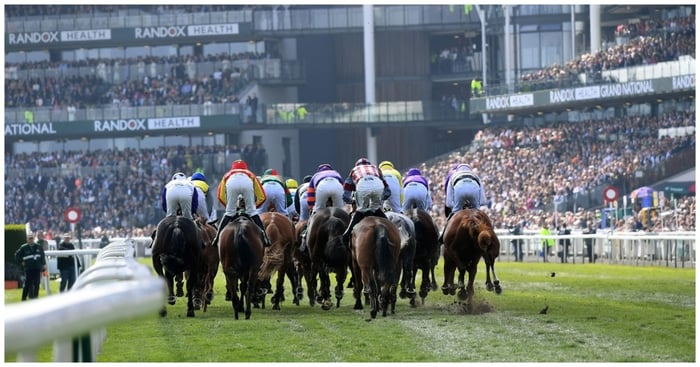 How to Bet on The Grand National 2026